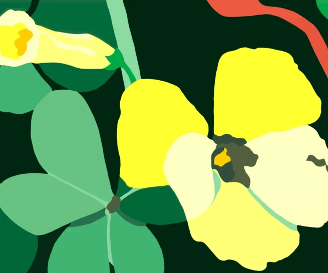 Limited edition silkscreen 'Sour Grass' (1987), 70 x 50 cm, depicting the vibrant yellow flowers of Sour Grass emerging from burnt soil after a forest fire. Inspired by Aboriginal experiences in Australia, where nature flourishes again shortly after destruction, symbolizing resilience and renewal.